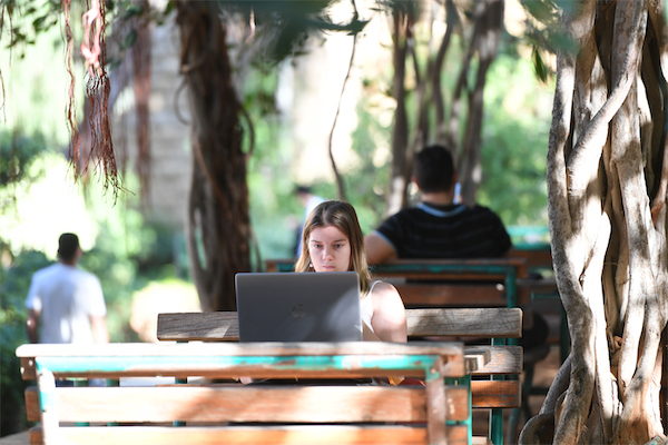 A student reading off a laptop computer under a banyan tree at LAU's Beirut campus.